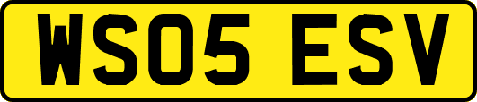 WS05ESV