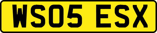WS05ESX