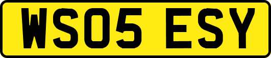WS05ESY