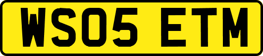 WS05ETM
