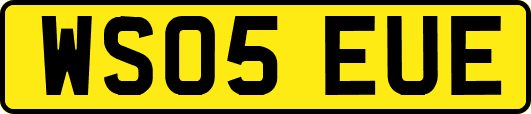 WS05EUE