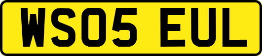 WS05EUL
