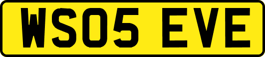 WS05EVE