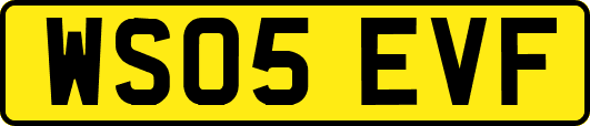 WS05EVF