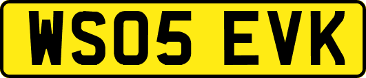 WS05EVK