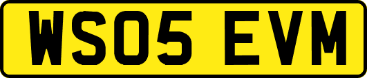 WS05EVM
