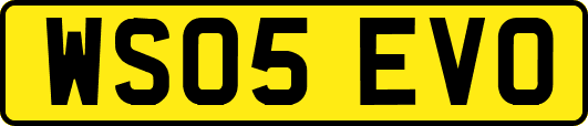WS05EVO