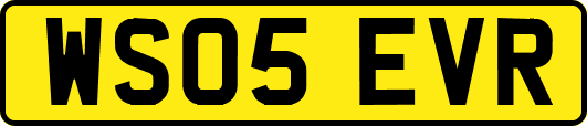 WS05EVR