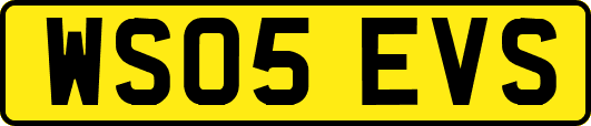 WS05EVS