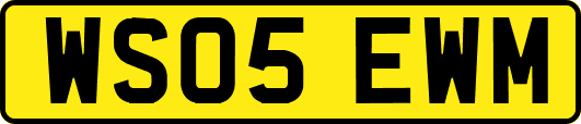 WS05EWM