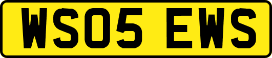 WS05EWS