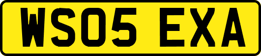 WS05EXA