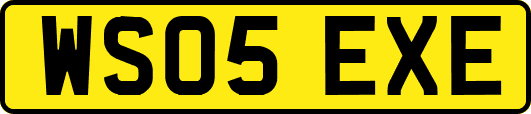 WS05EXE