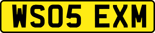 WS05EXM