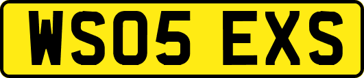 WS05EXS