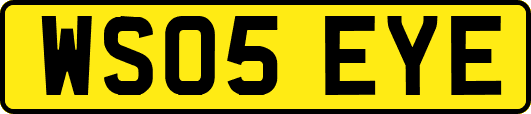 WS05EYE