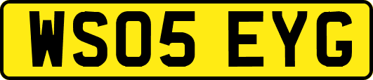 WS05EYG