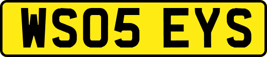 WS05EYS