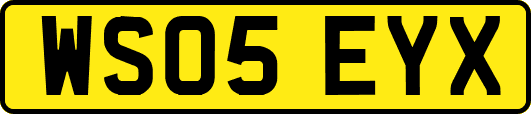 WS05EYX