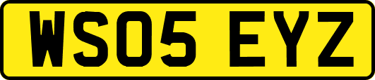 WS05EYZ