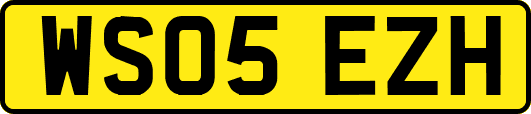 WS05EZH