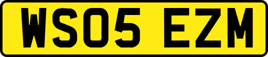 WS05EZM