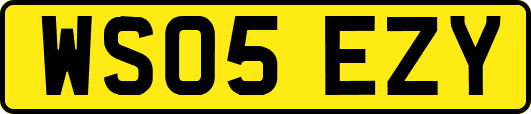 WS05EZY