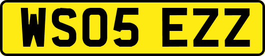 WS05EZZ