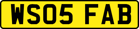 WS05FAB