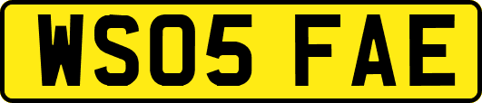 WS05FAE