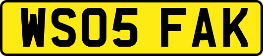 WS05FAK