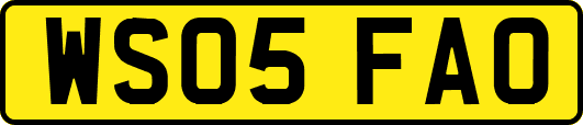 WS05FAO