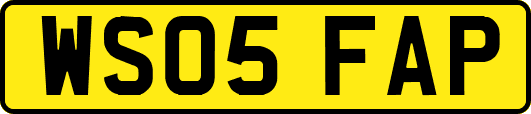 WS05FAP
