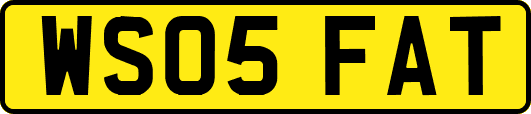 WS05FAT