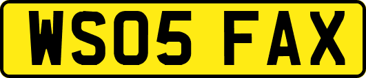 WS05FAX