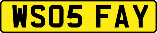 WS05FAY