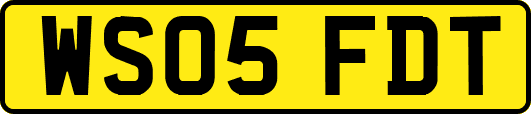 WS05FDT