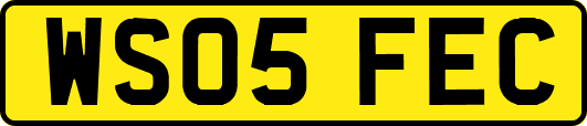 WS05FEC