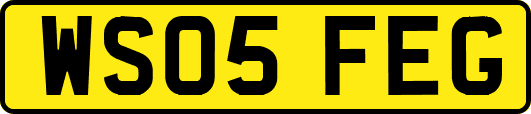 WS05FEG
