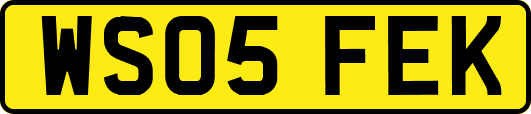 WS05FEK