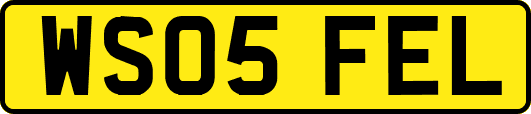 WS05FEL