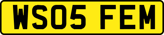 WS05FEM
