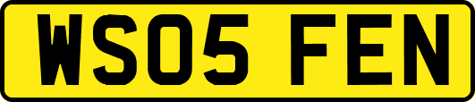 WS05FEN