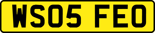 WS05FEO