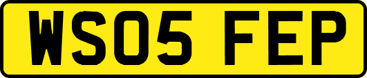 WS05FEP