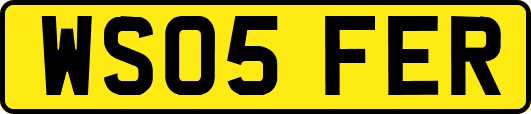 WS05FER