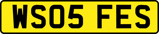 WS05FES