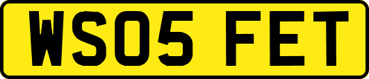 WS05FET