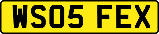 WS05FEX