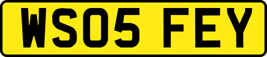 WS05FEY